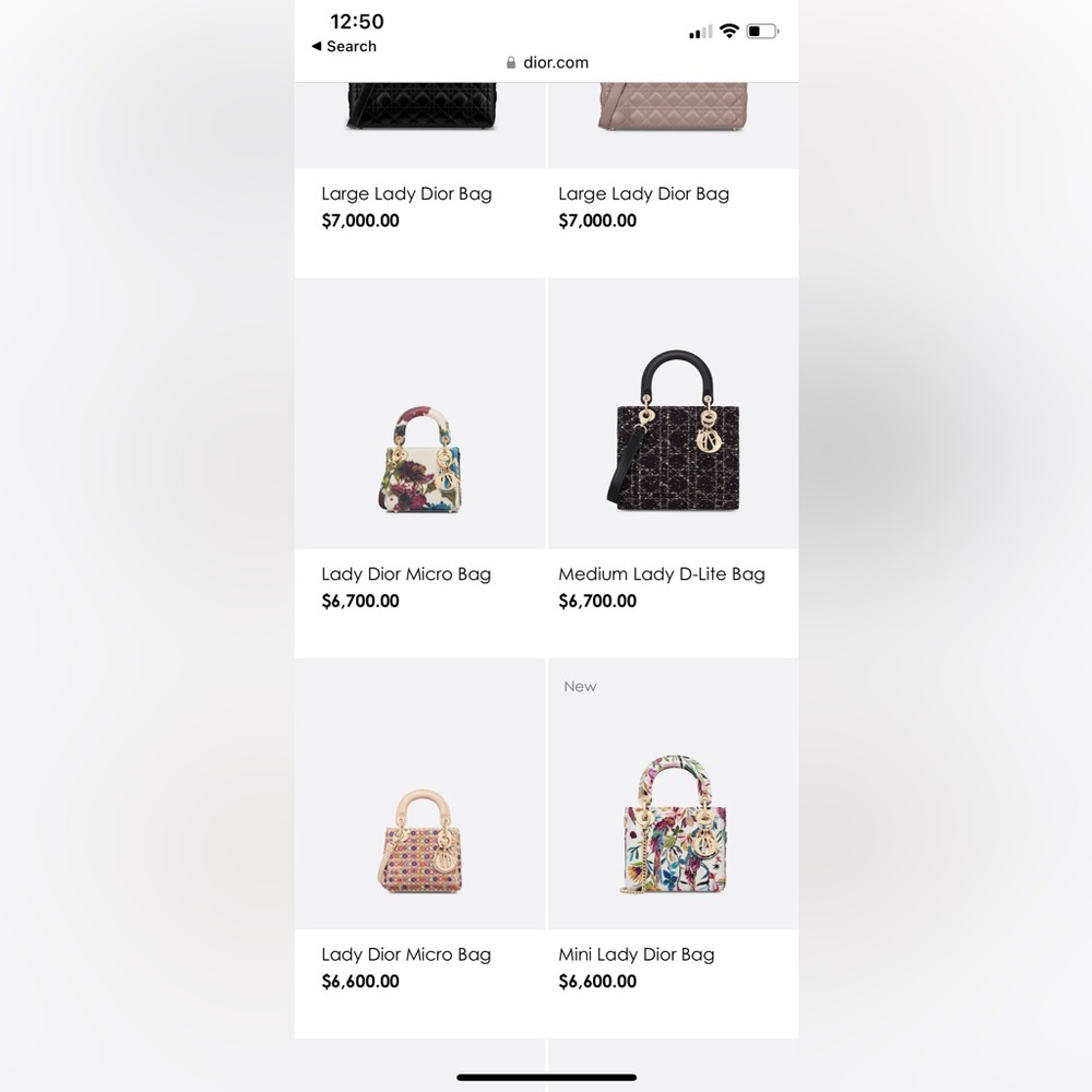 Lady Dior bag ( limited edition). - Picture 11 of 15